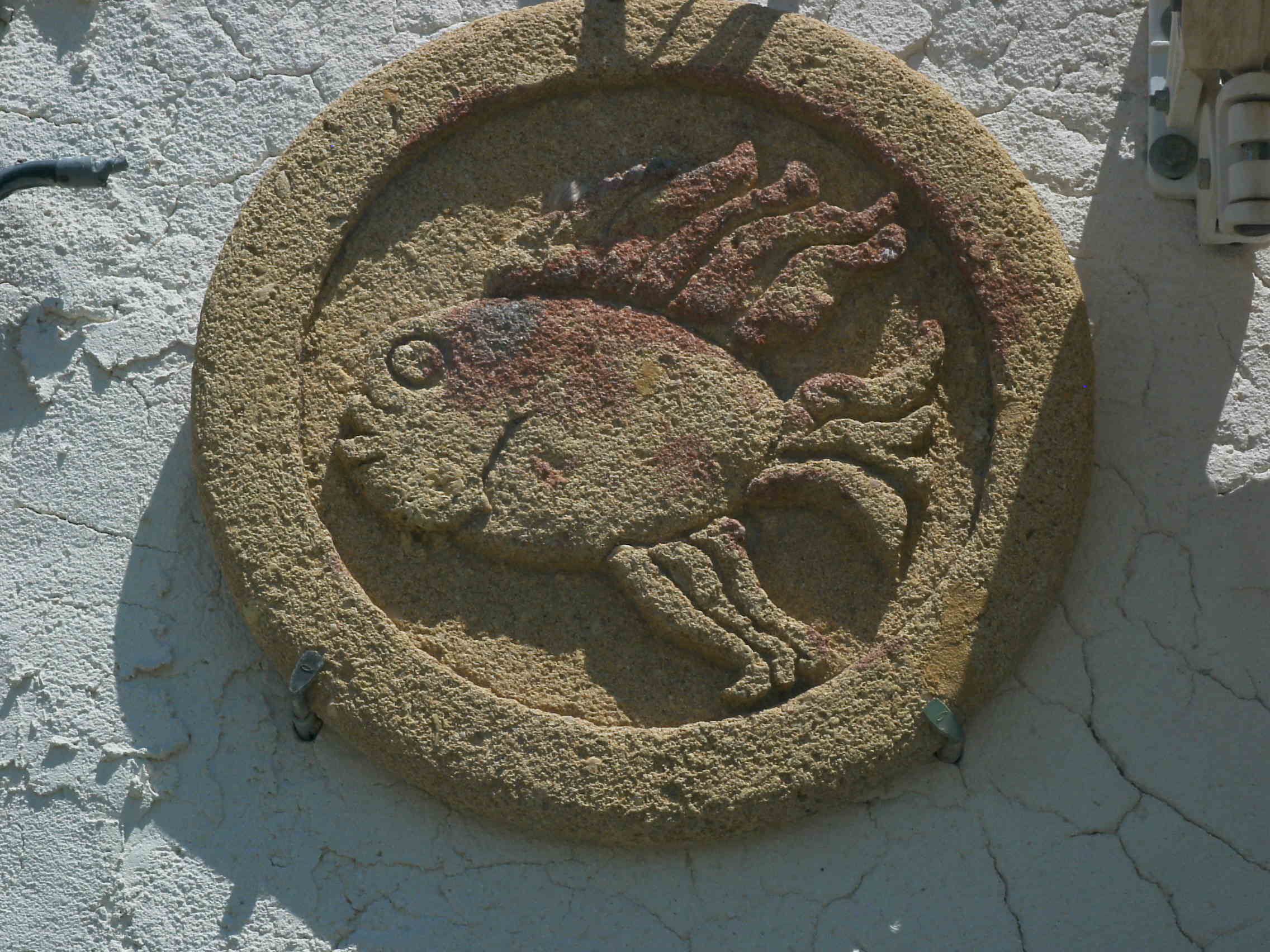 Pez Siracusa b.JPG